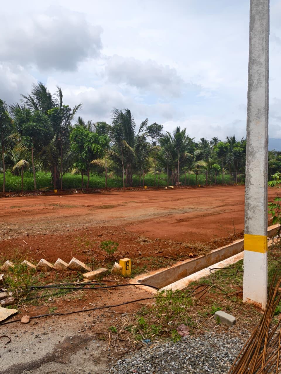 KV Garden