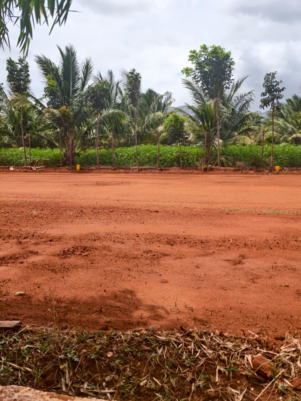 KV Garden