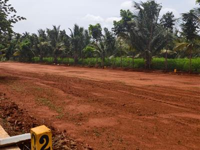 KV Garden